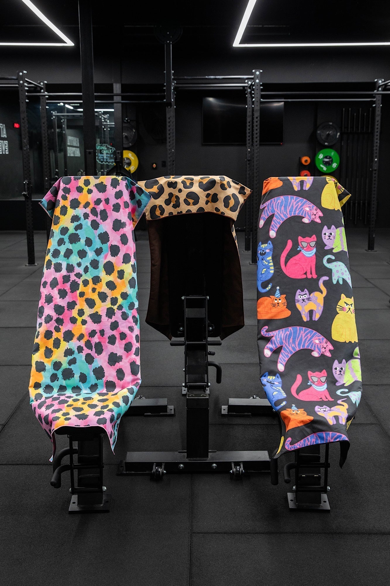 Best Gyms in Melbourne