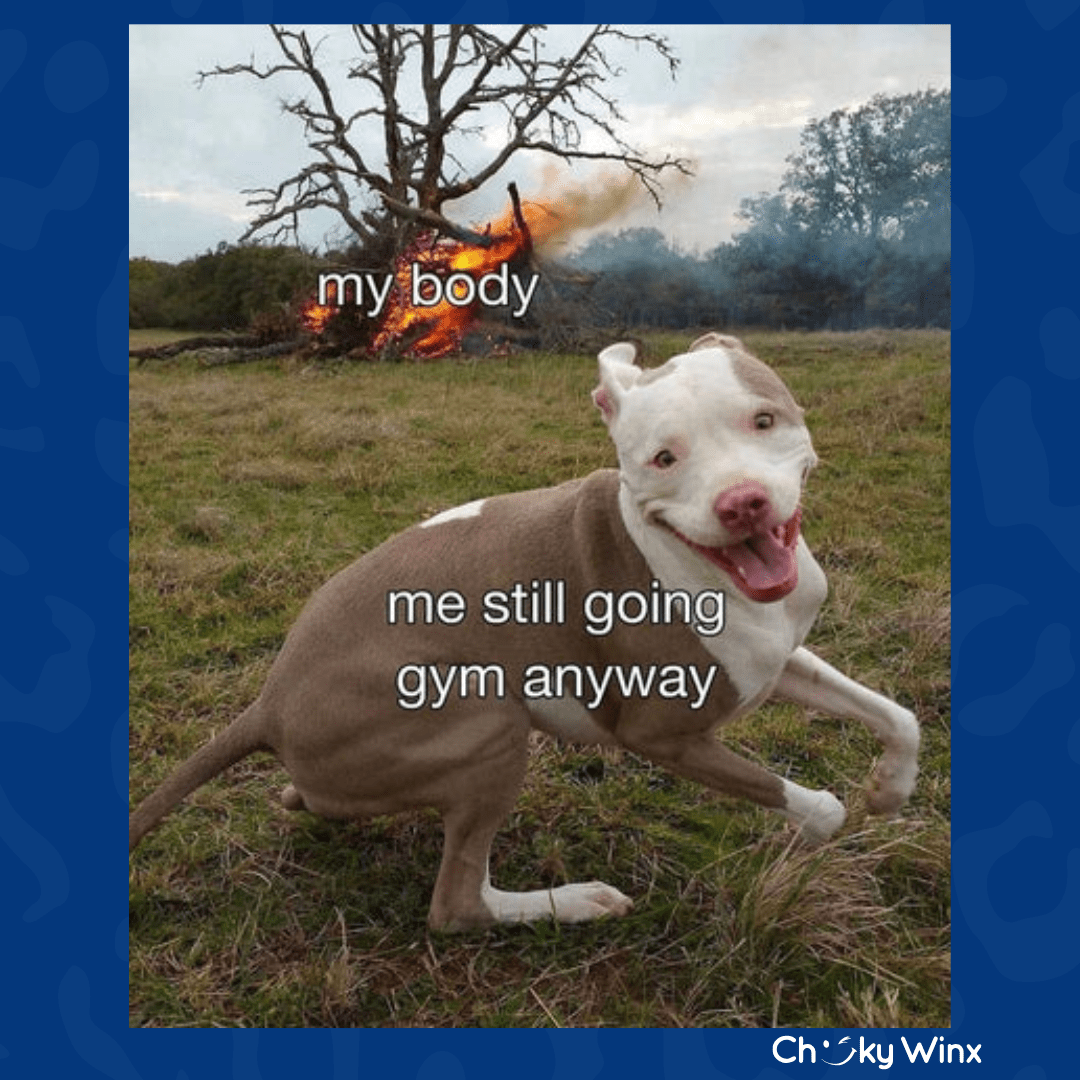 Best Gym Memes of 2025: Hilarious Moments You’ll Relate To at the Gym! - Cheeky Winx